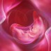 The Benefits of Placenta Encapsulation